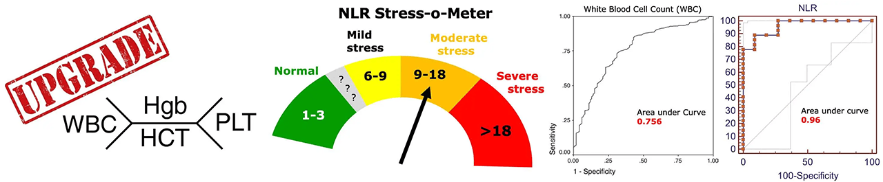Five Lab Markers That Reveal Hidden Inflammation Five Lab Markers That Reveal Hidden Inflammation